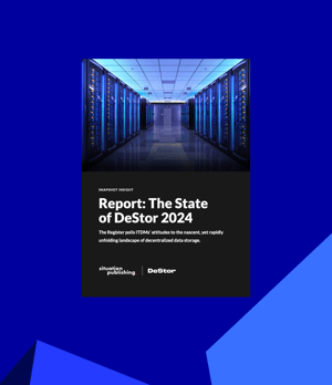 The State of DeStor 2024