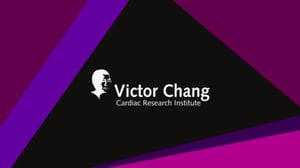 VCCRI DeStor Case Study