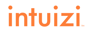 intuizi logo